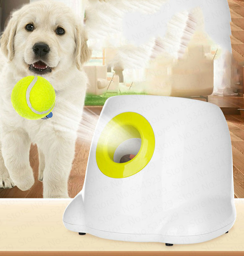 Automatic ball launcher for dogs with a puppy and a tennis ball