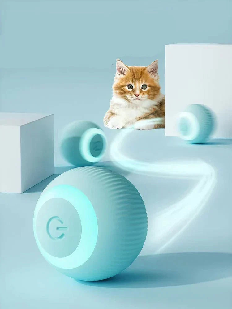 Cat watching an interactive rolling ball toy