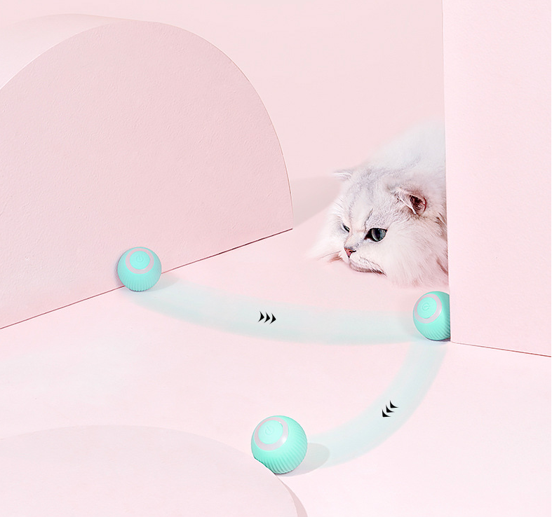 Cat chasing the interactive rolling balls across the floor