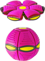 Pink dog frisbee, flat and as a ball