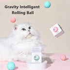 White cat watching the rolling ball beside its box