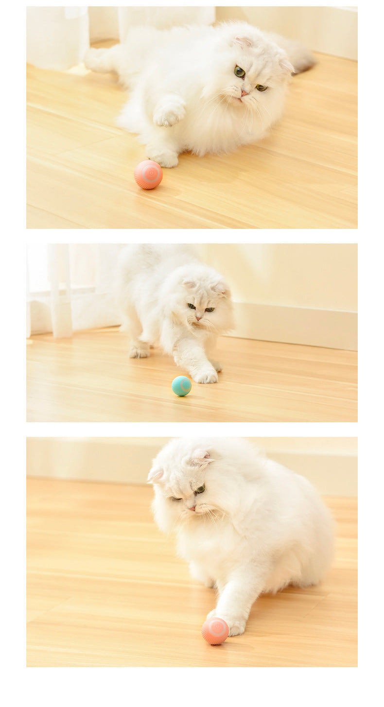 Kitten playing with the rolling ball, three photos