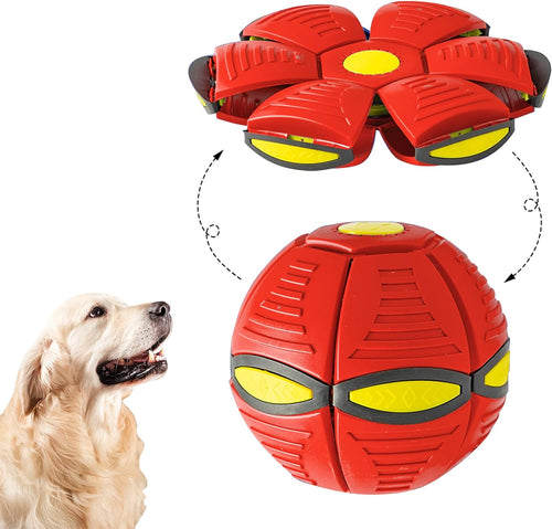 Red dog frisbee ball with a golden retriever
