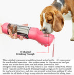 Beagle drinking from the bottle's drinking trough
