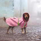 Dog in a pink reflective raincoat on a wet street