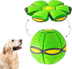 Green dog frisbee ball with a golden retriever