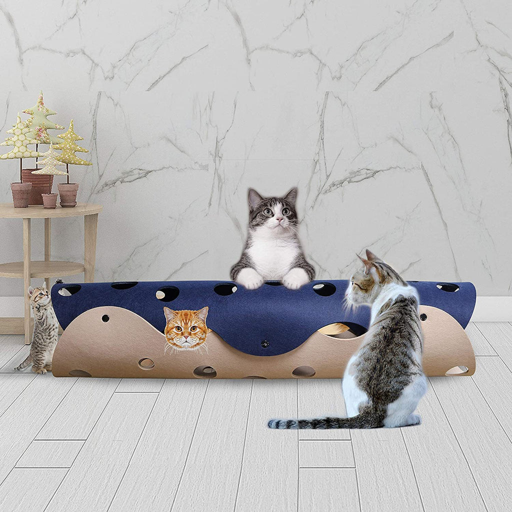 Cats playing in and around the felt tunnel