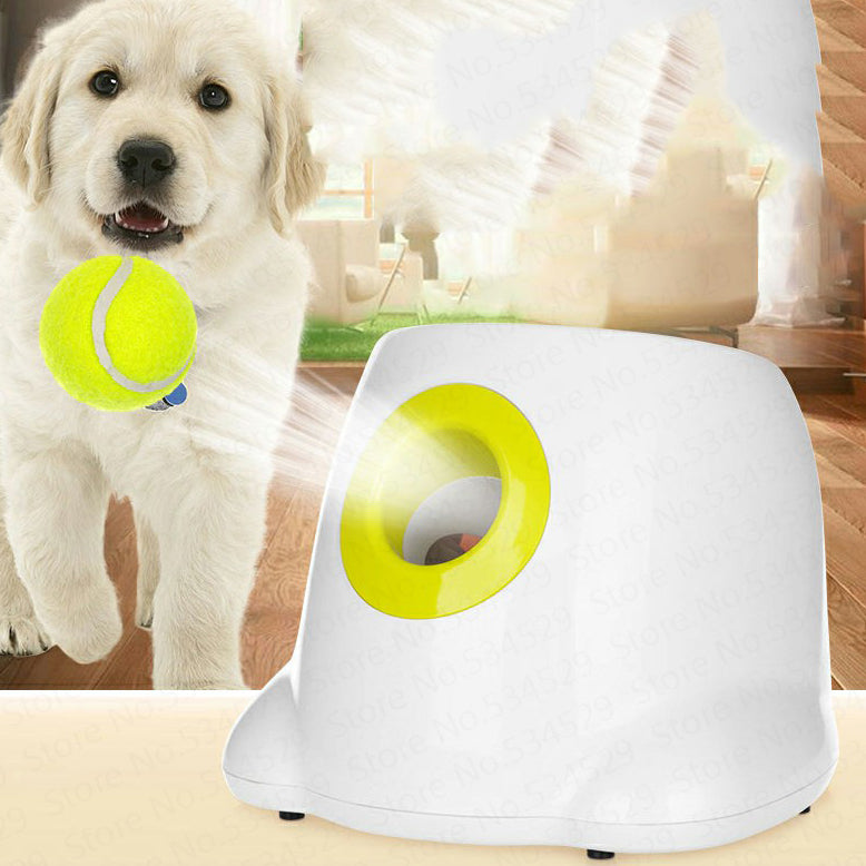 Golden retriever puppy with a mini tennis ball beside the automatic ball launcher